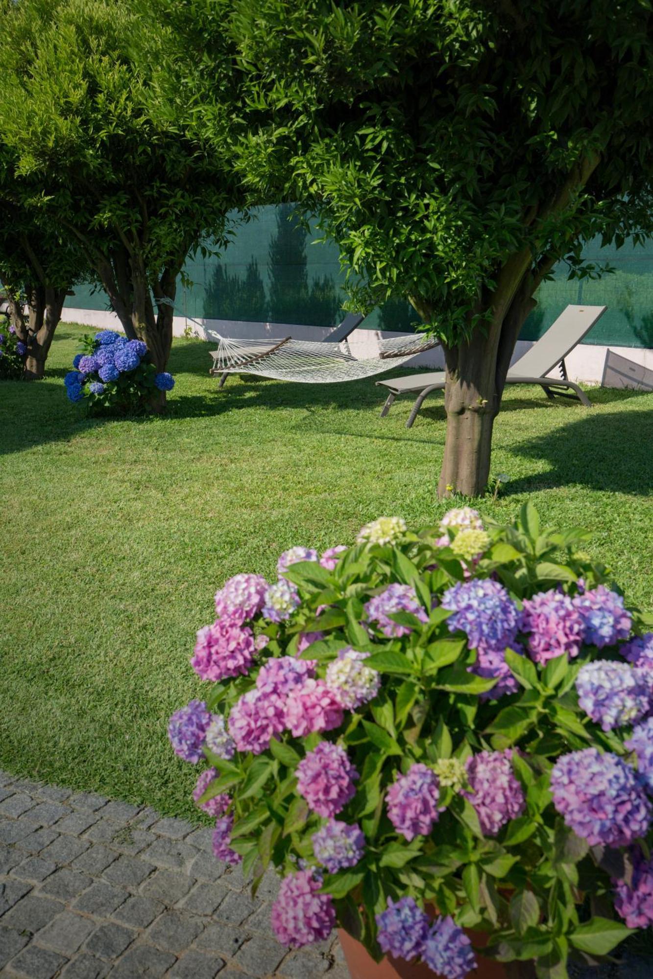 Suite Em Viana Do Castelo Esterno foto