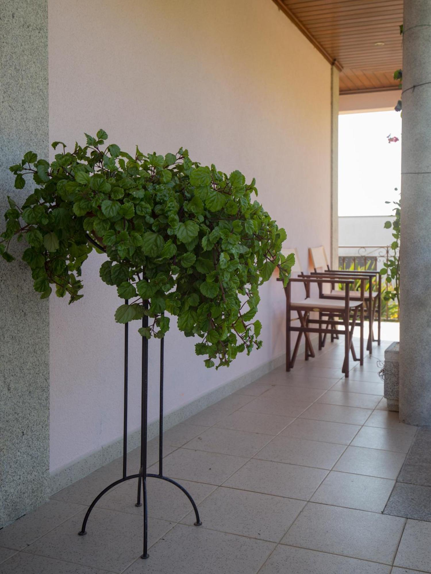 Suite Em Viana Do Castelo Esterno foto